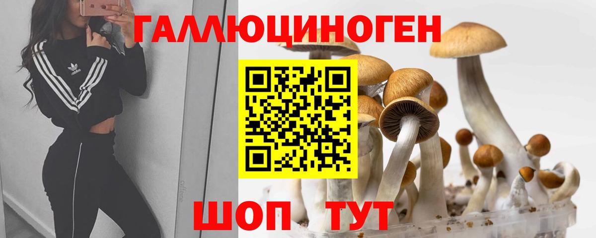хочу наркоту  Вход с VPN  Великий Устюг  Галлюциногенные грибы Psilocybine cubensis 